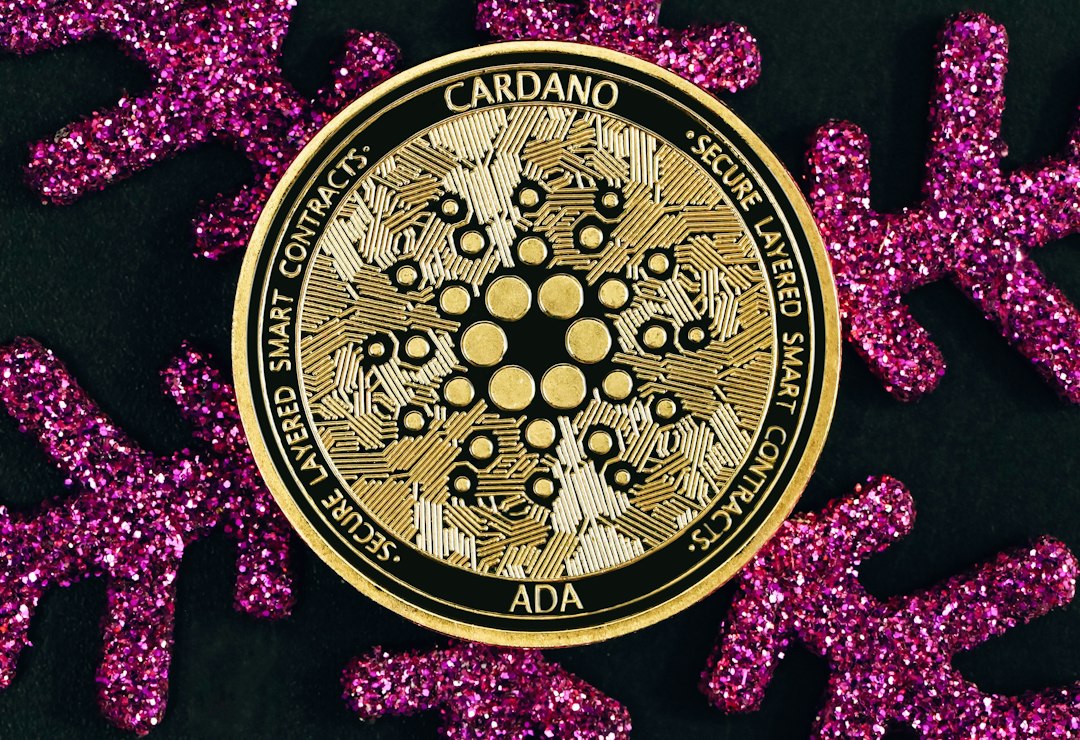 Exploring Cardano: A Significant Player in the Blockchain Ecosystem